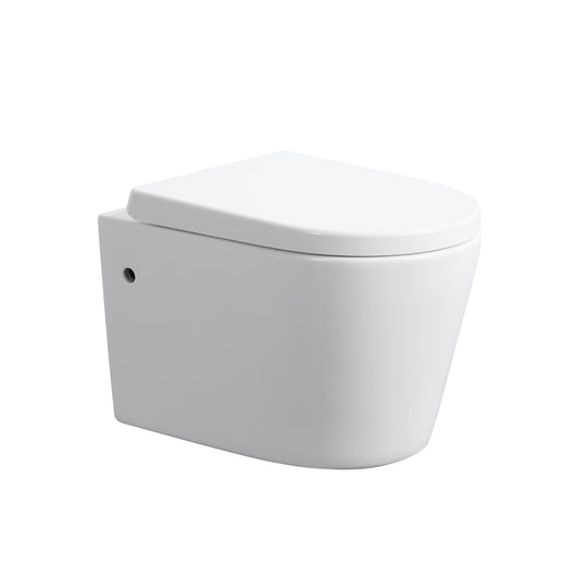 KDK302R-MW Avis Matte White Wall hung Toilet